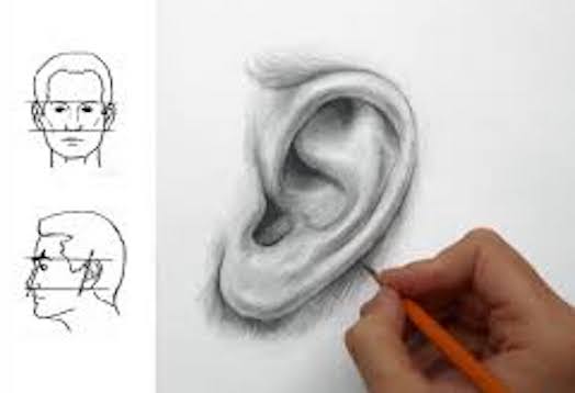 Unpopular opinon: ears are fun to draw. #drawing #sketch #pencildrawi